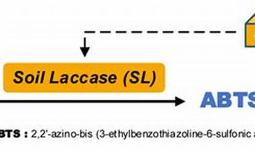 as417nm_abts4